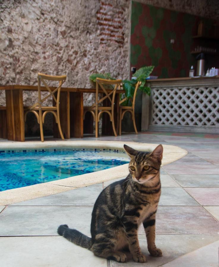 Casa Zahri Boutique Hostel Картахена Экстерьер фото